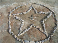 Taylor's star